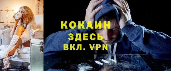 МДПВ Алексеевка