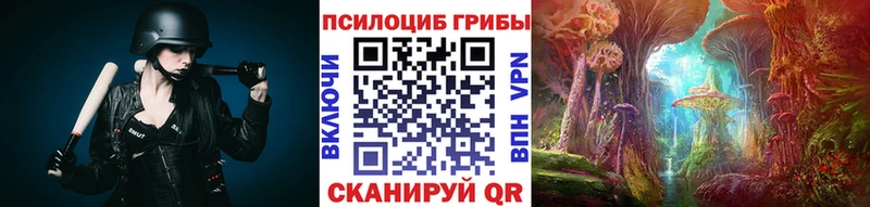 Псилоцибиновые грибы Psilocybine cubensis  Новоузенск 