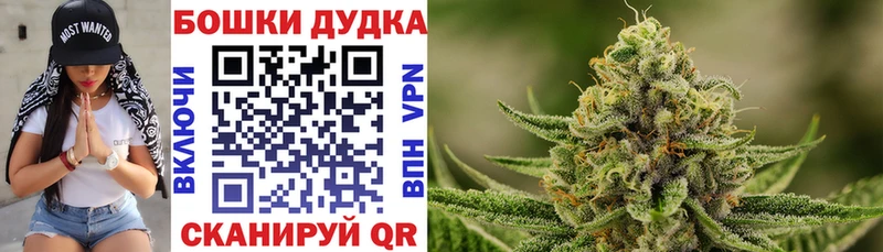 как найти   Новоузенск  Бошки Шишки SATIVA & INDICA 